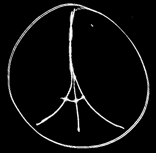 Paris, nous sommes unis!