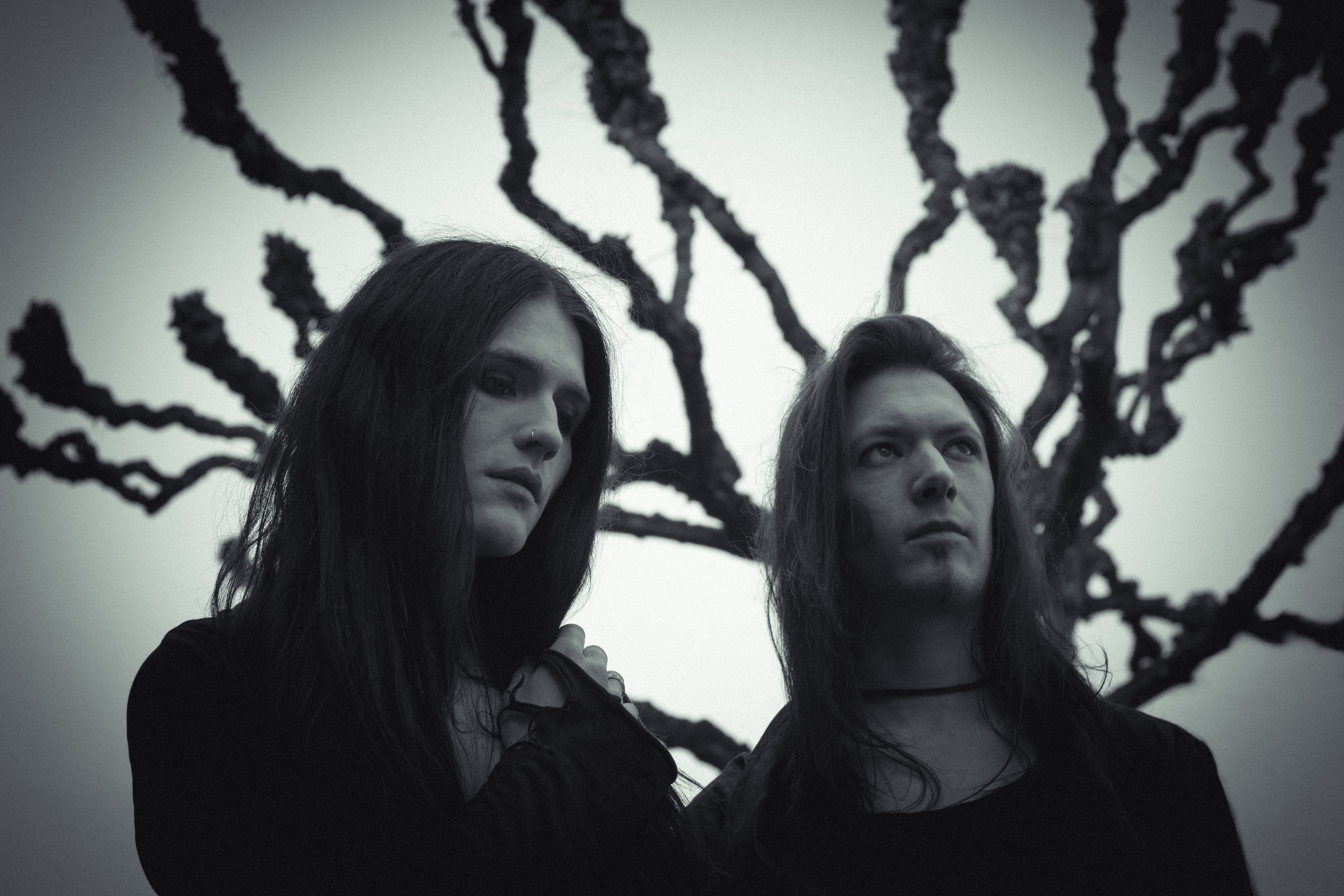 Wisborg auf Danse Macabre